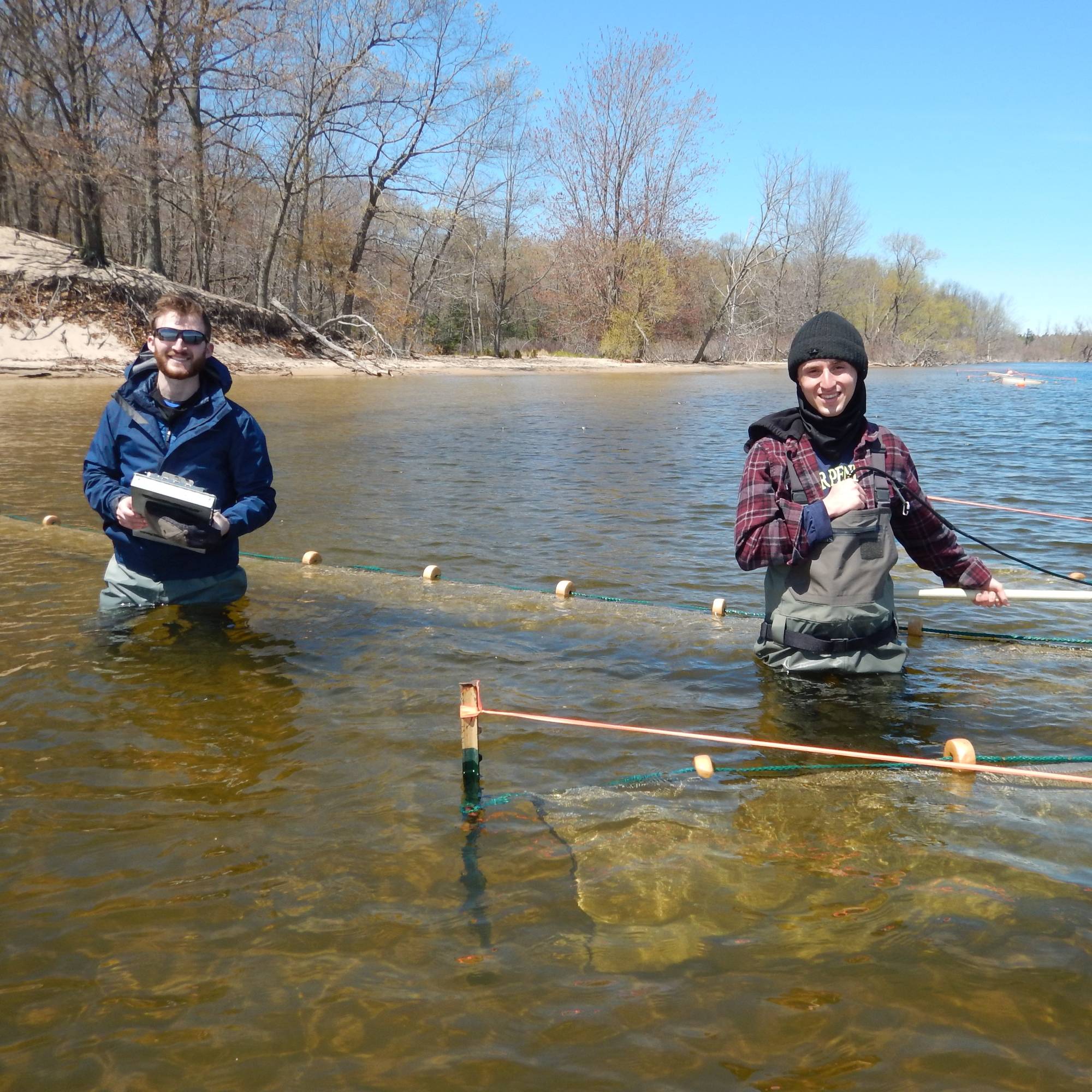 Two students are standing next to a fyke net measuring the water temperature.
